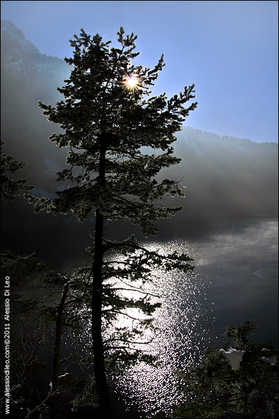 Alpsee