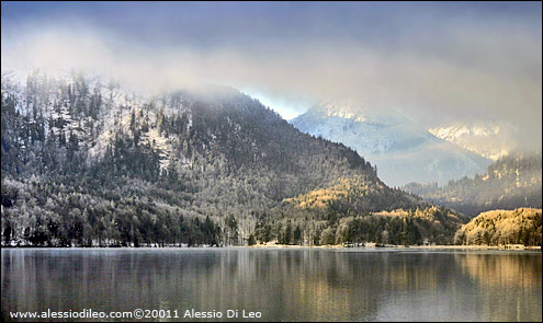 Alpsee