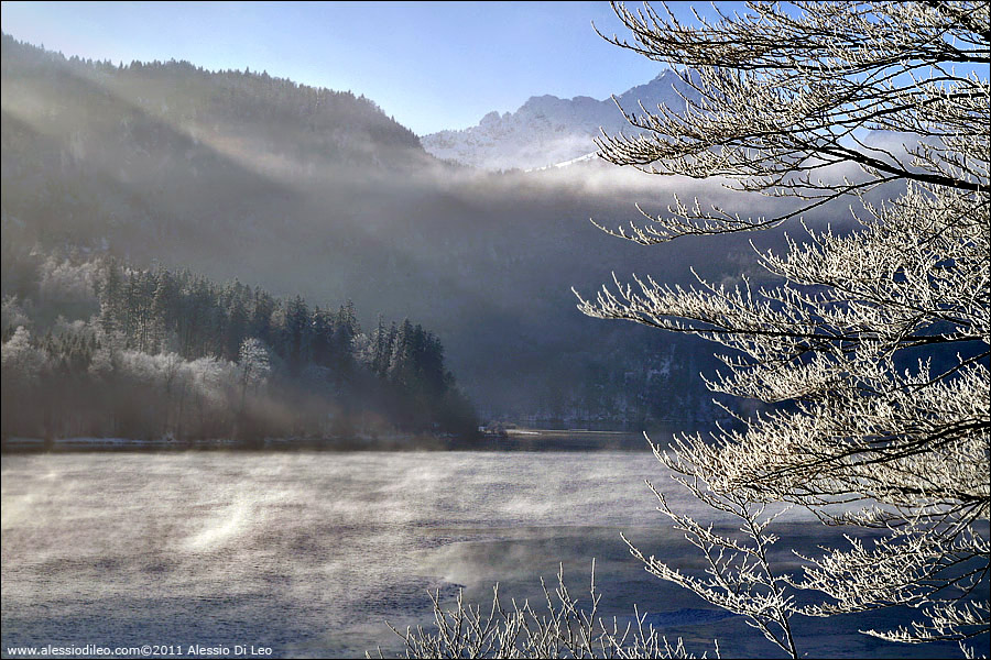 Alpsee
