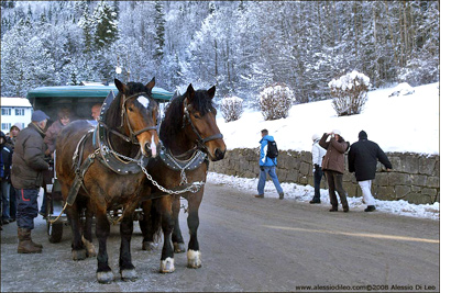 Neuschwanstein