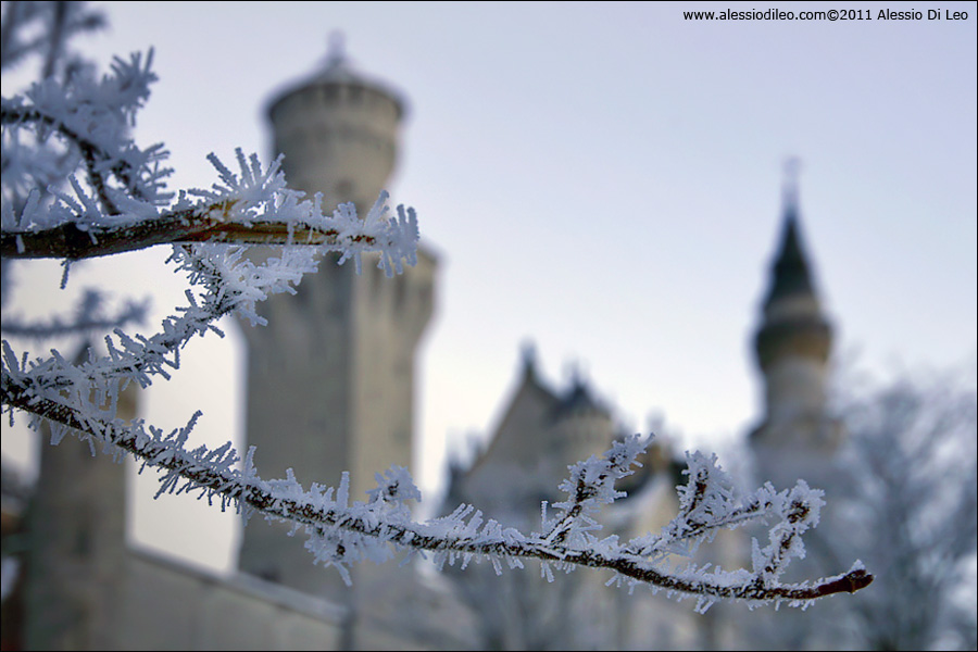 Neuschwanstein