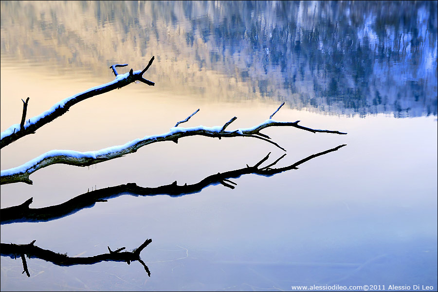 Alpsee
