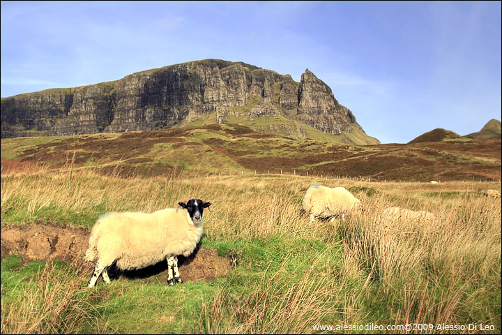 Isola Skye - Scozia