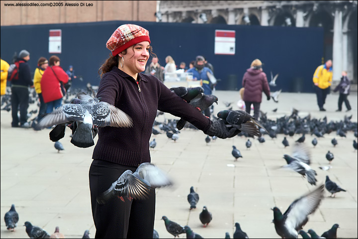 Carnevale di Venezia