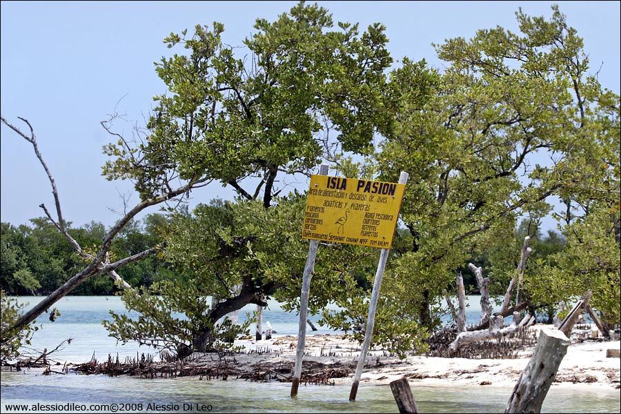 Isla Pasion
