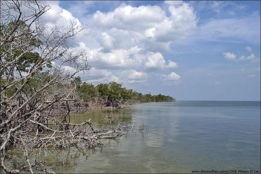 Cenote YalaHau