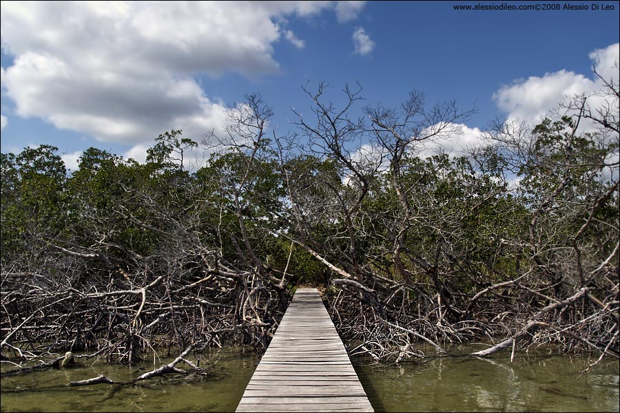 Cenote YalaHau