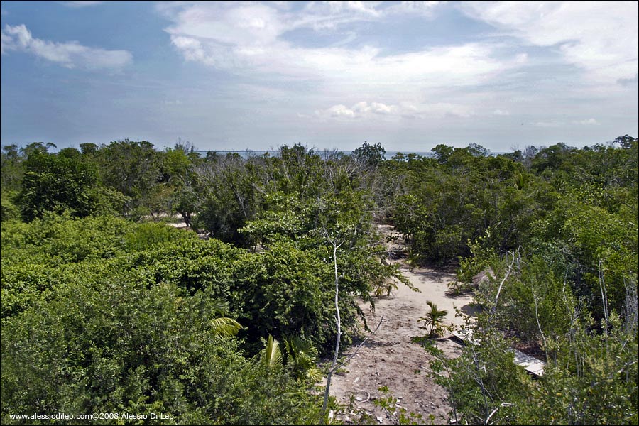Cenote YalaHau