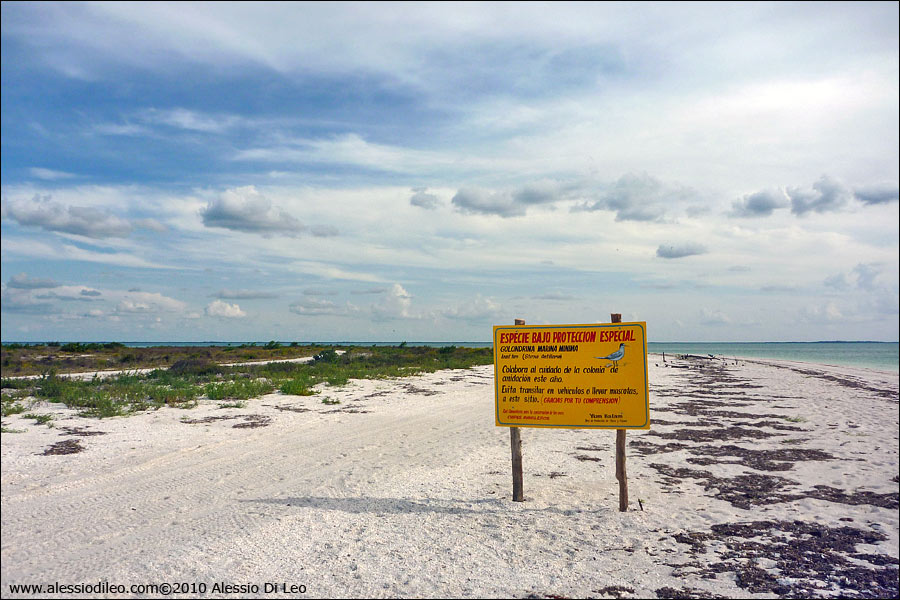 Isla Holbox