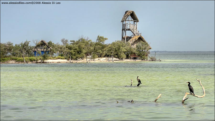 Isla Pasion - Isla Holbox