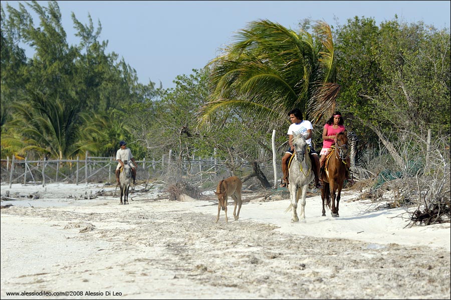 Isla Holbox