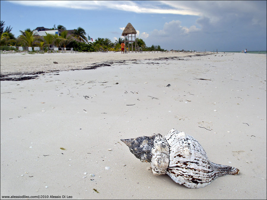 Isla Holbox