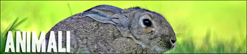 Animali