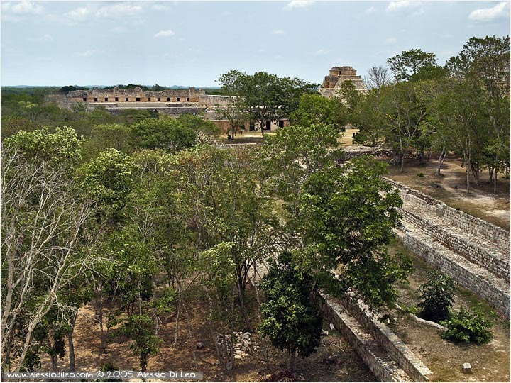 Scorcio della foresta vista dalla cima della grande piramide, in lontanaza la casa delle monache