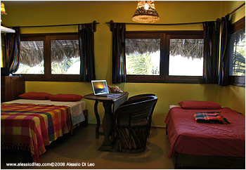 Hotel la Palapa