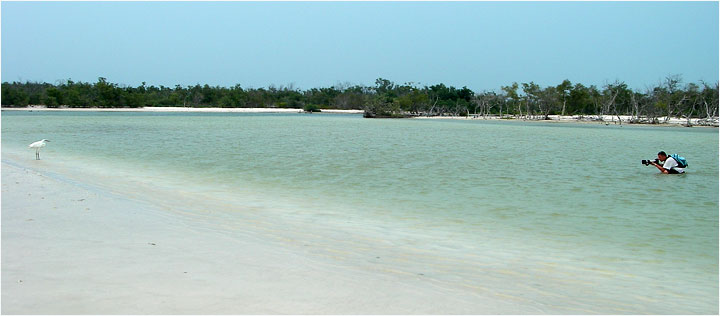 Isla Holbox