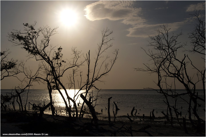 Isla Holbox