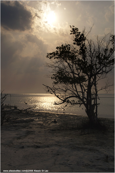 Isla Holbox