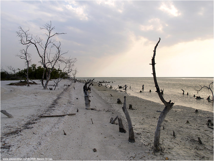 Isla Holbox