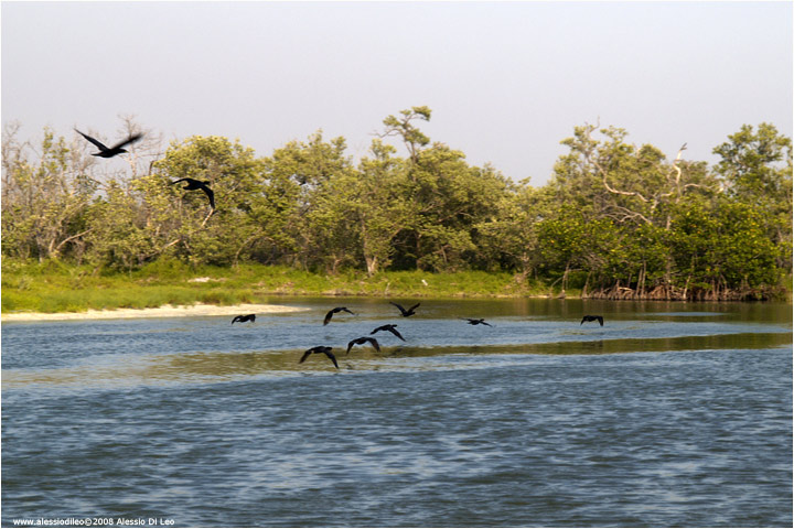 Isla Holbox