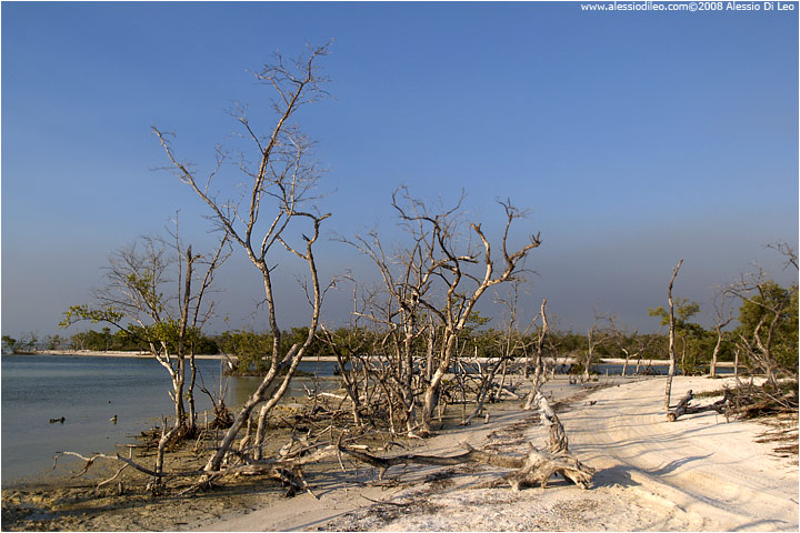 Isla Holbox