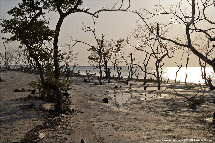 Isla Holbox