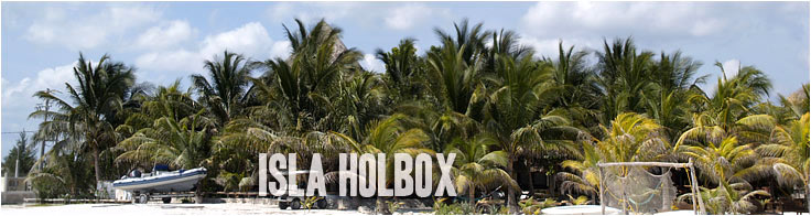 Ritorna all'isola di Holbox