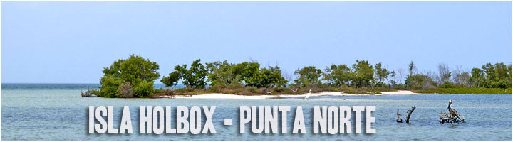 Prosegui con punta norte