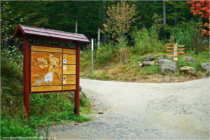 TIER FREIGELÄNDE II Bayerischer Wald