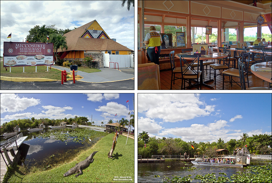 Everglades