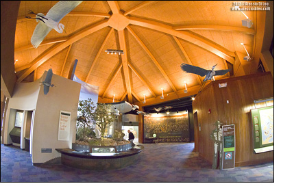 Ernest Coe Visitor Center
