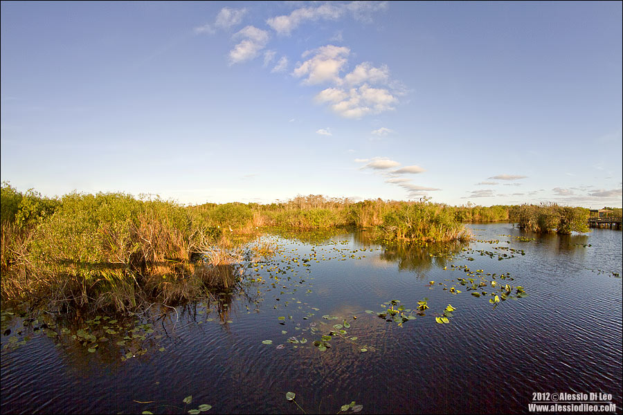 Everglades
