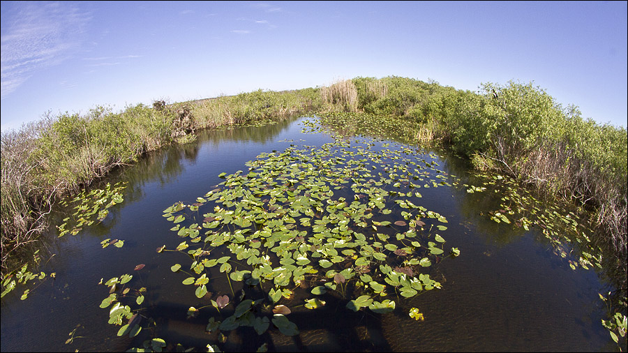 Everglades Florida