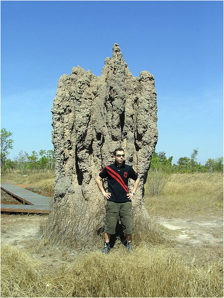 Termitaio gigante nel parco Kakadu - Top End Australia