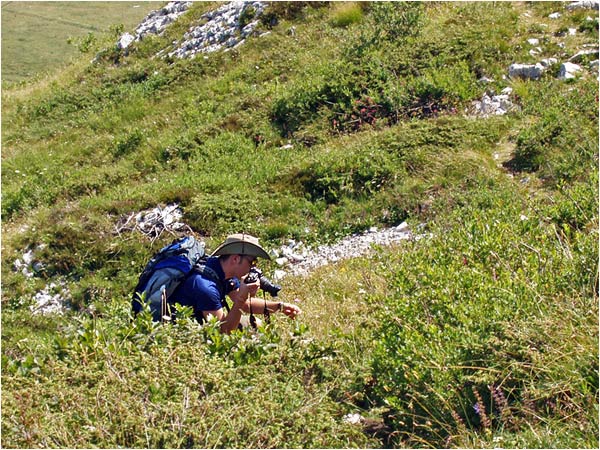 Monte Baldo