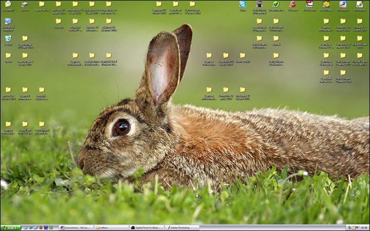 Un desktop un pò troppo disordinato