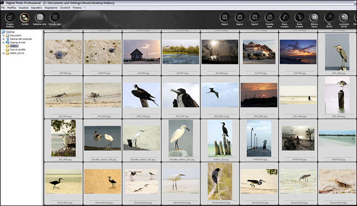 Digital Photo Professional